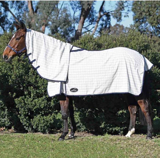 Eurohunter Summer Horse Rugs Eurohunter Grand National 2 Light Combo (EHGN2LT)