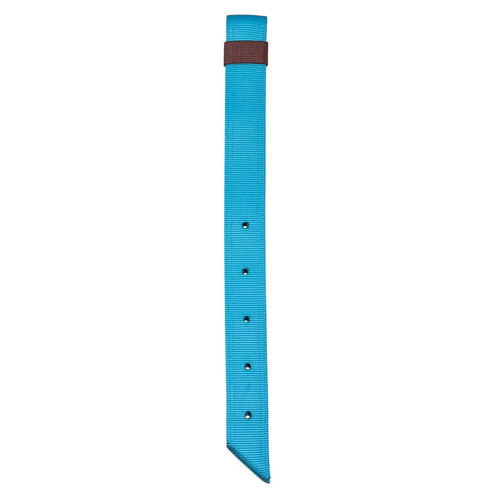 Ezy Ride Girth Accessories Turquoise Ezy Ride Plain Nylon Latigo (Offside)