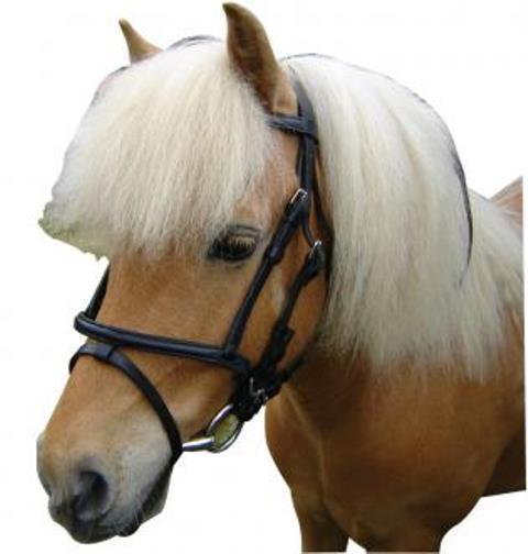 Miniature Pony Bridle 6906-6907MP - Gympie Saddleworld & Country Clothing