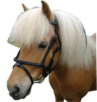 N.E.W Miniature Pony Bridle - Gympie Saddleworld & Country Clothing