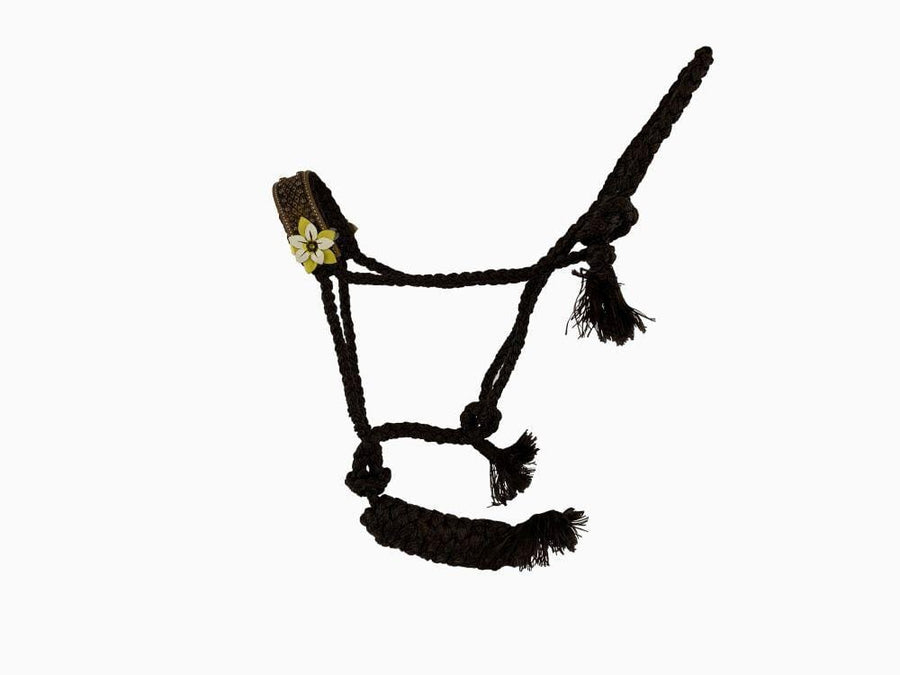 Gympie Saddleworld & Country Clothing Halters Braided Mule Style Halter with Lead Sunflower Print