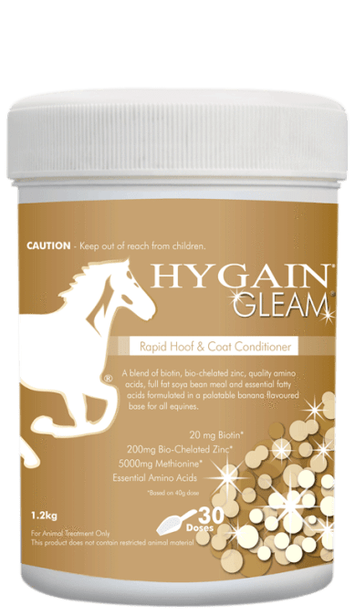 Hygain Gleam - Gympie Saddleworld & Country Clothing