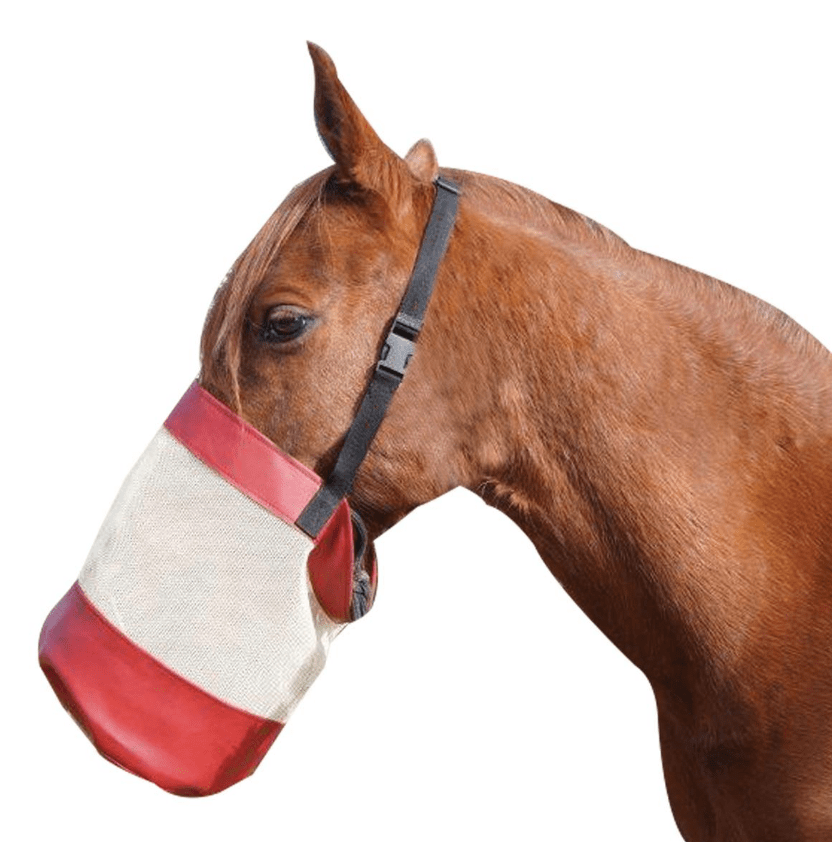 Gympie Saddleworld & Country Clothing Stable Maroon Deluxe Mesh Sided Nose Bag (8326-8328GROUP)