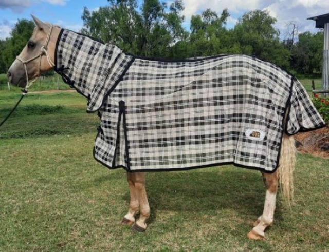 Gympie Saddleworld & Country Clothing Summer Horse Rugs 3ft0 Miniature GTL PVC Shademesh Combo