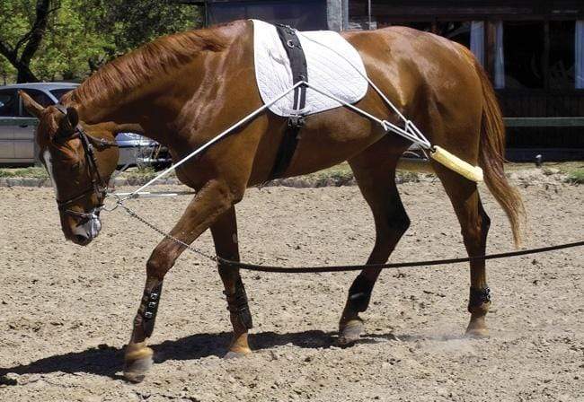 Pessoa Lunge Training System - Gympie Saddleworld & Country Clothing