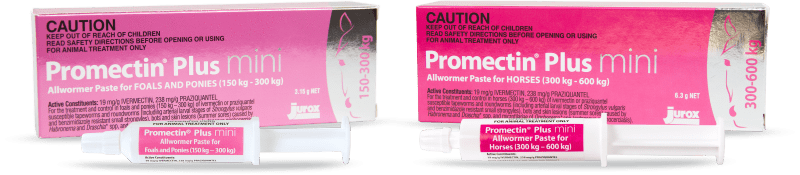 Promectin Plus for Foals and Ponies (150kg-300kg) 3.15g - Gympie Saddleworld & Country Clothing