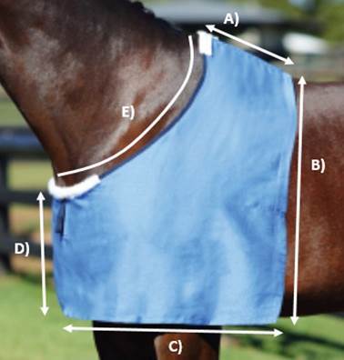 Gympie Saddleworld Horse Rug Accessories Economy Rug Bib Cotton with Lining