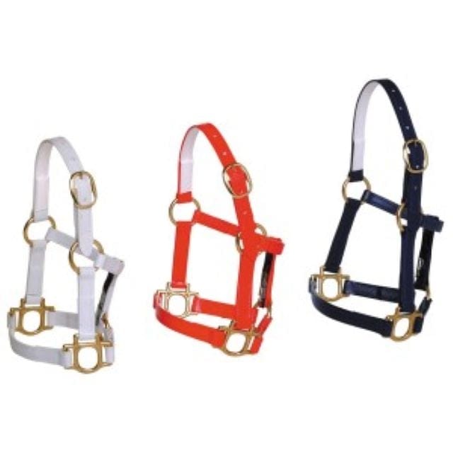 Horse Sense Halters M / White Horse Sense Mini PVC Halter