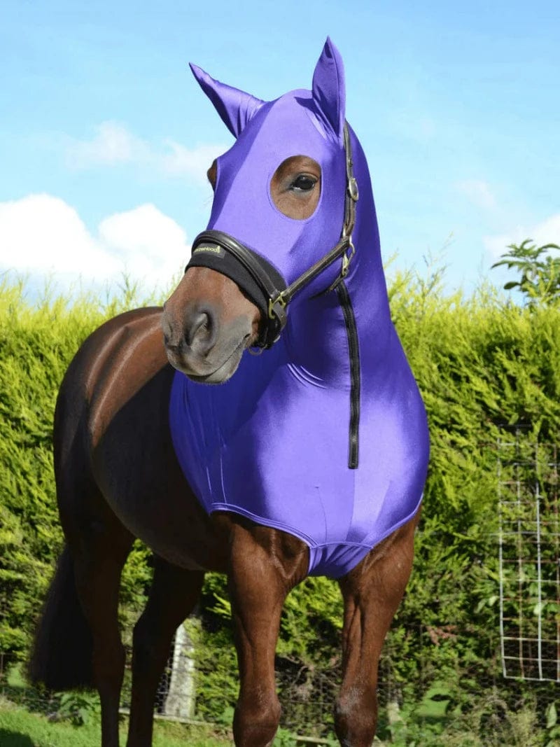 Horze Hoods Horse Rug Accessories XS / Purple Horze Skinny Hood with Ears
