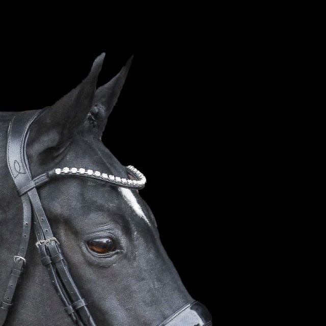 Lumiere Bridle Accessories Lumiere Diamante Crystal Browband (L5502)