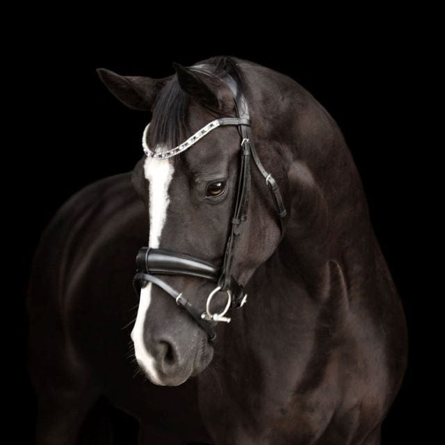 Lumiere Bridles Full Lumiere Bridle Anastasia (L1603)