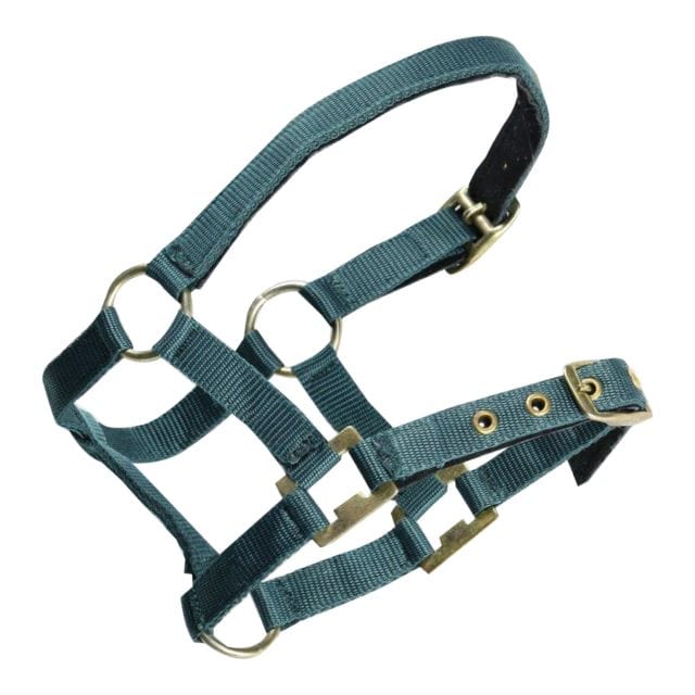 National Equestrian Halters Miniature Halter Assorted Colours (6866MP)