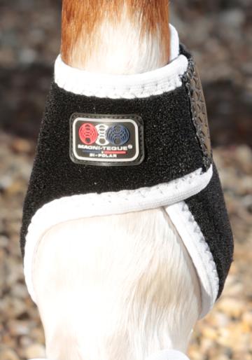 PEI Horse Boots & Bandages ONE SIZE PEI Magn-Teque Fetlock Wraps