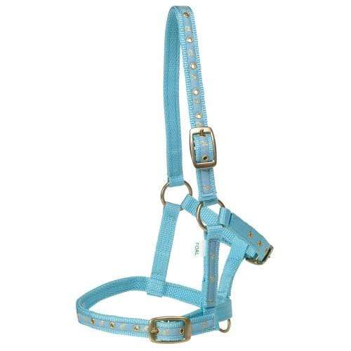 Rancher Deluxe Foal Halter - Gympie Saddleworld & Country Clothing