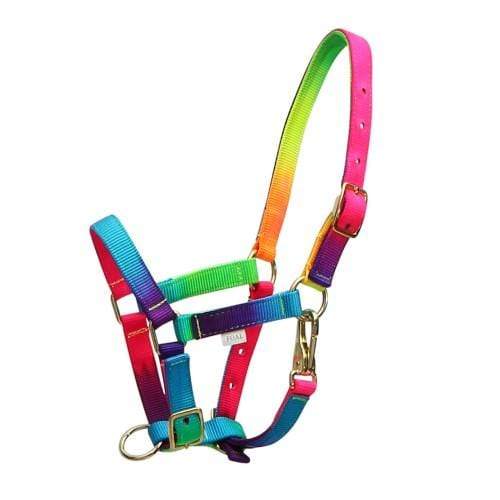 Rancher Rainbow Halter - Gympie Saddleworld & Country Clothing