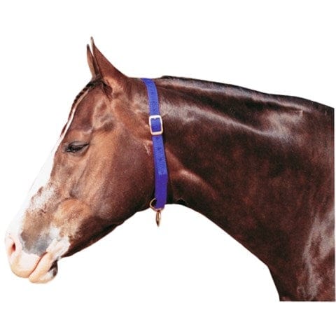 Rancher Training Equipment Blue Free- Head Horse Collar (RAN5100)