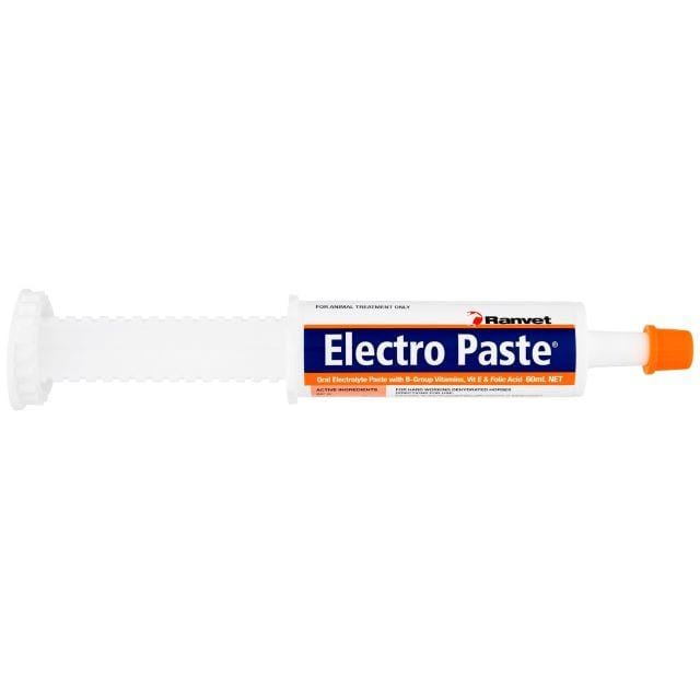 Ranvet Vet & Feed Ranvet Electro Paste 60g