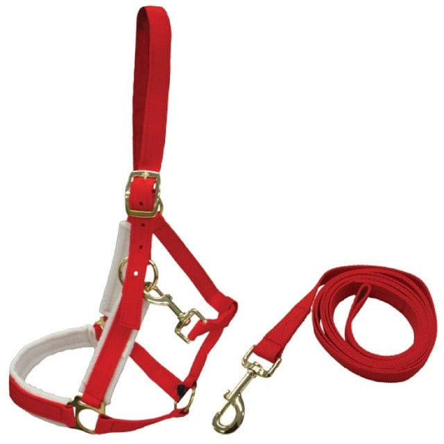 Saddlery Trading Lead Ropes Christmas Lead Rope Red/White (XMAS380)