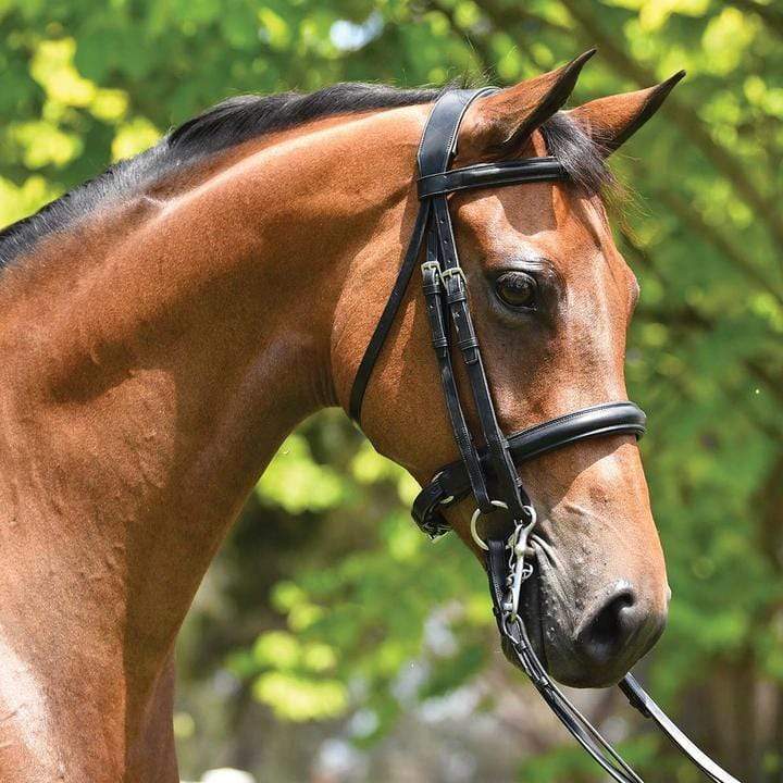 Saddleworld Bridles Full / Havana Brown Grainge Elite Weymouth Bridle