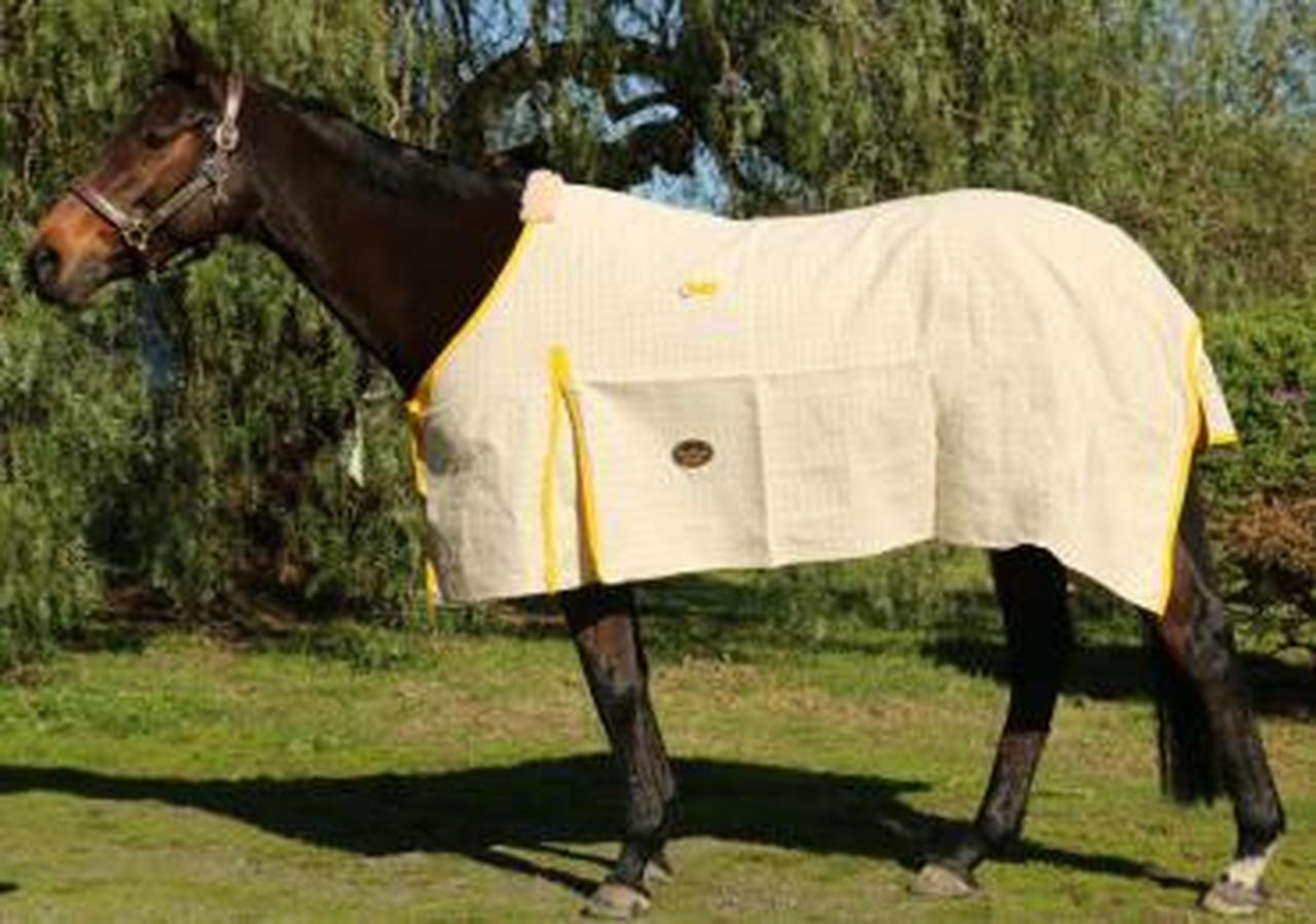 Showcraft Gold Rug - Gympie Saddleworld & Country Clothing