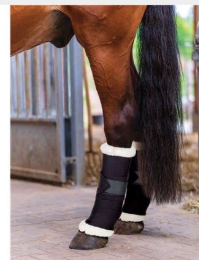 Showmaster Horse Boots & Bandages M / Black Showmaster Bandage Pads wFaux Sheepskin