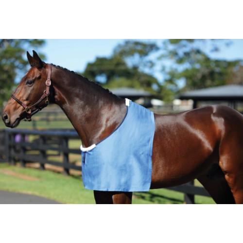 Showmaster Horse Rug Accessories Pony Showmaster Deluxe Rug Bib RUG7700