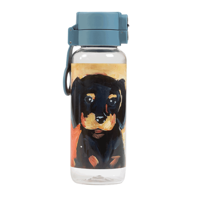 Spencil Back to School Spencil Water Bottle 650ml - Shadow (WBTP-SHD)