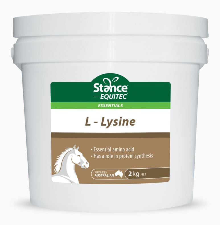 Stance Vet & Feed 25kg Stance L-Lysine (38LLYSINE)