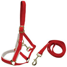 STC Halters Christmas Halter (XMAS375)