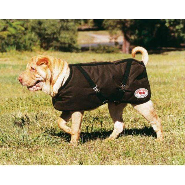 Thermo Master Dog Rugs 14 Thermo Master Oilskin Dog Coat