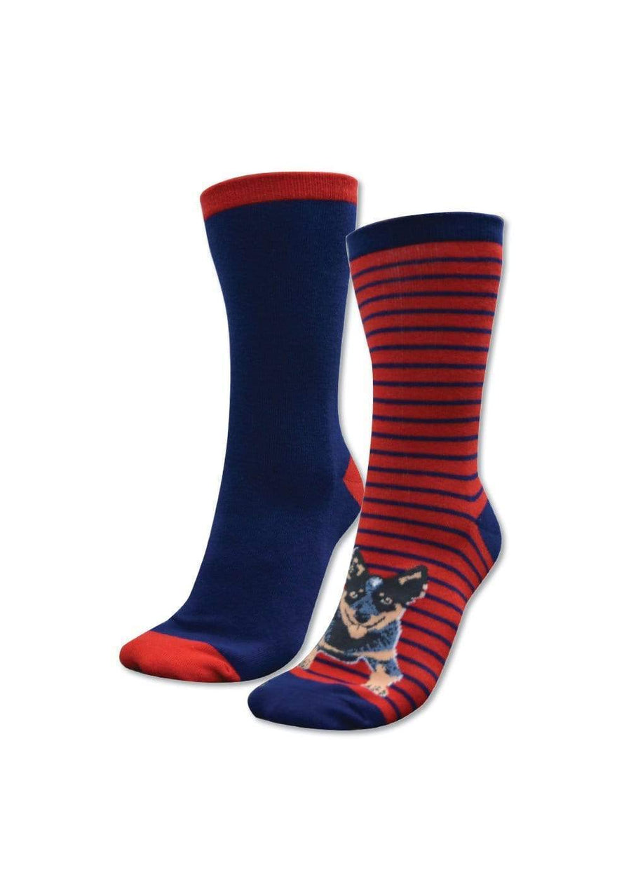 Thomas Cook Socks 8-11 / Navy/Red Thomas Cook Homestead Sock Twin Pack