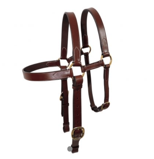 Toowoomba Saddlery Bridles Full / Silver Tanami Leather Extended Head Bridle BDLTAN22