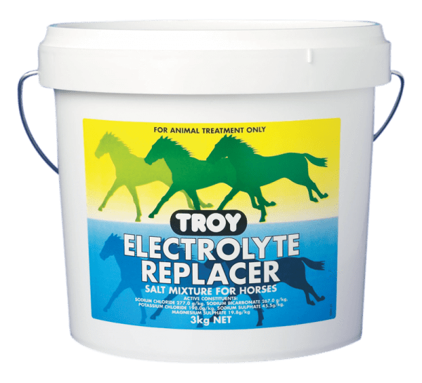 Troy Electrolyte Replacer - Gympie Saddleworld & Country Clothing